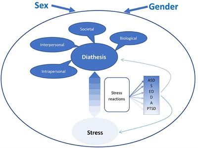 Where Sex Meets Gender: How Sex and Gender Come Together to Cause Sex Differences in Mental Illness